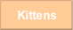 Kittens.
