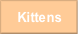 Kittens.