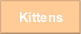 Kittens.